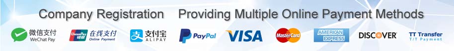 Company Registration, Onshorer Business Services provides multiple online payment methods